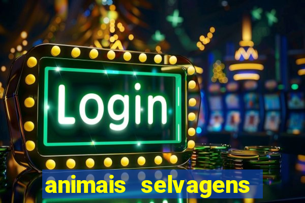 animais selvagens fotos e nomes